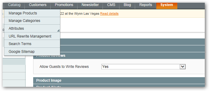 magento_review_ratings_not_showing_enabled